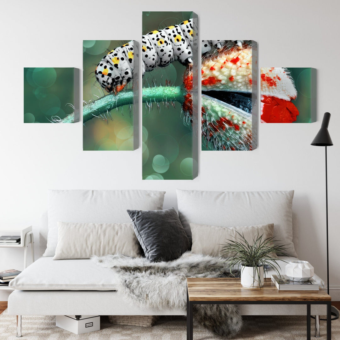 5 daļu kanva: Kāpurs un mārīte makro X-ART