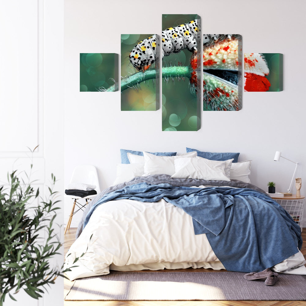 5 daļu kanva: Kāpurs un mārīte makro X-ART