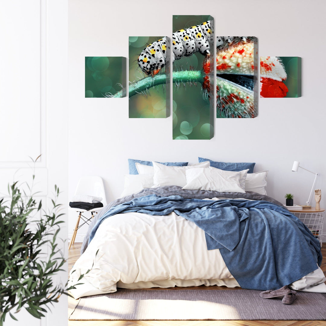 5 daļu kanva: Kāpurs un mārīte makro X-ART