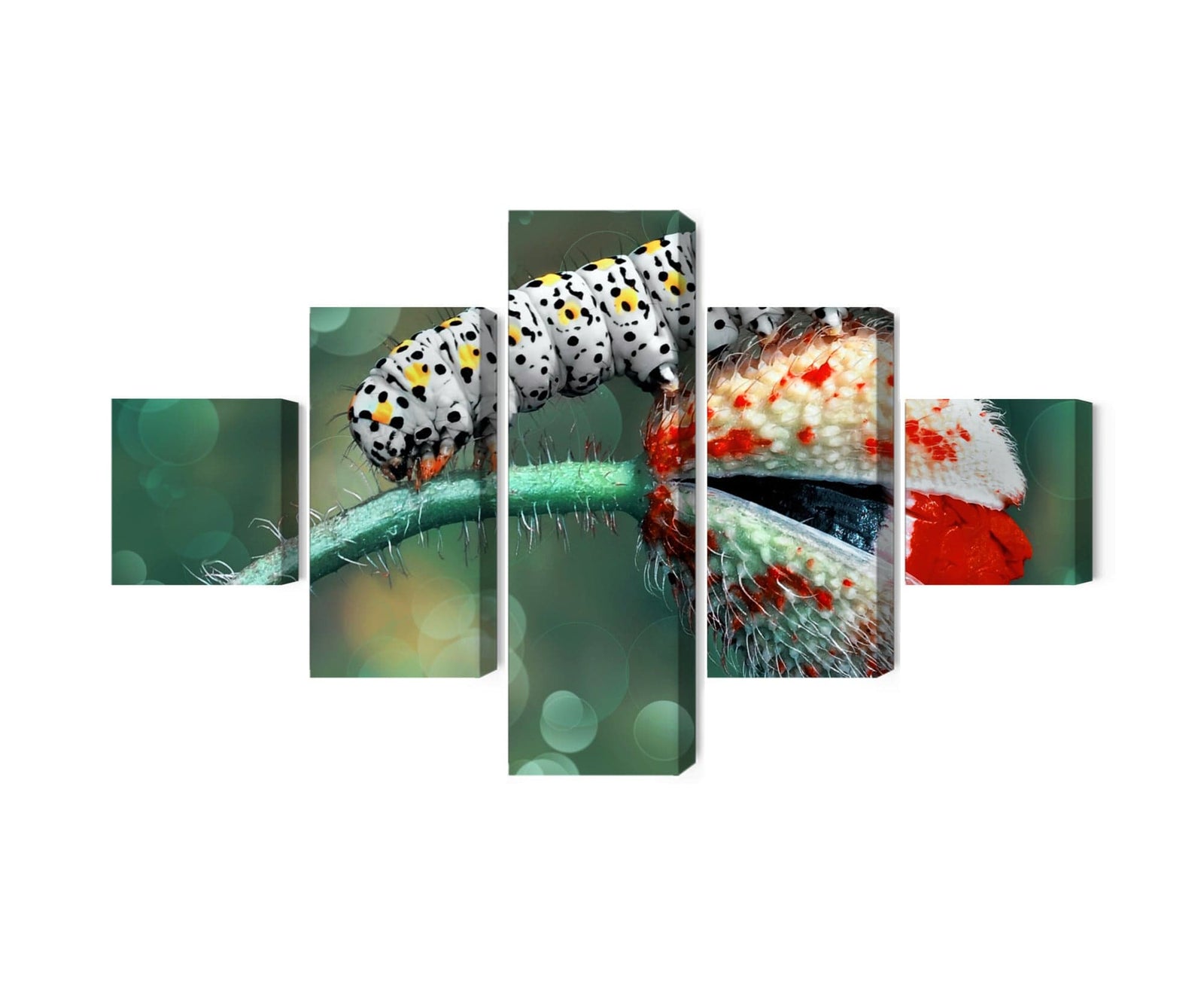 5 daļu kanva: Kāpurs un mārīte makro X-ART