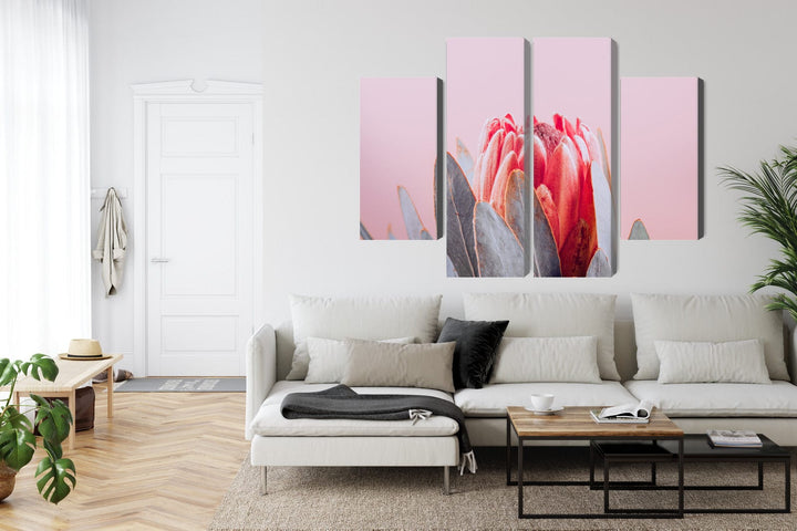 Kanva - Karaliskās protejas zieds Tuvplānā, N-4246 X-ART