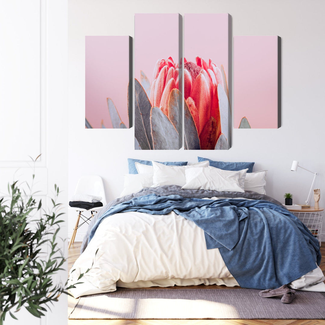 Kanva - Karaliskās protejas zieds Tuvplānā, N-4246 X-ART