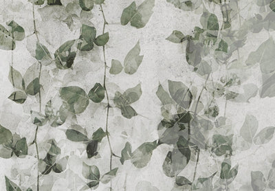 Канва - Тишина - композиция с зеленым плющом на стене, 151437 G-ART