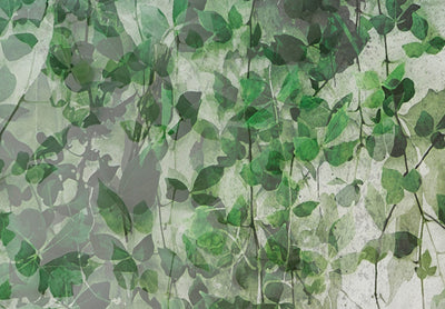 Канва - Тишина - композиция с зеленым плющом на стене, 151437 G-ART