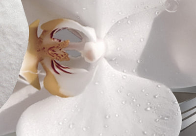 Paveikslai ant drobės - kompozicija su baltomis orchidėjomis, perlais ir deimantais, 146445 G-ART