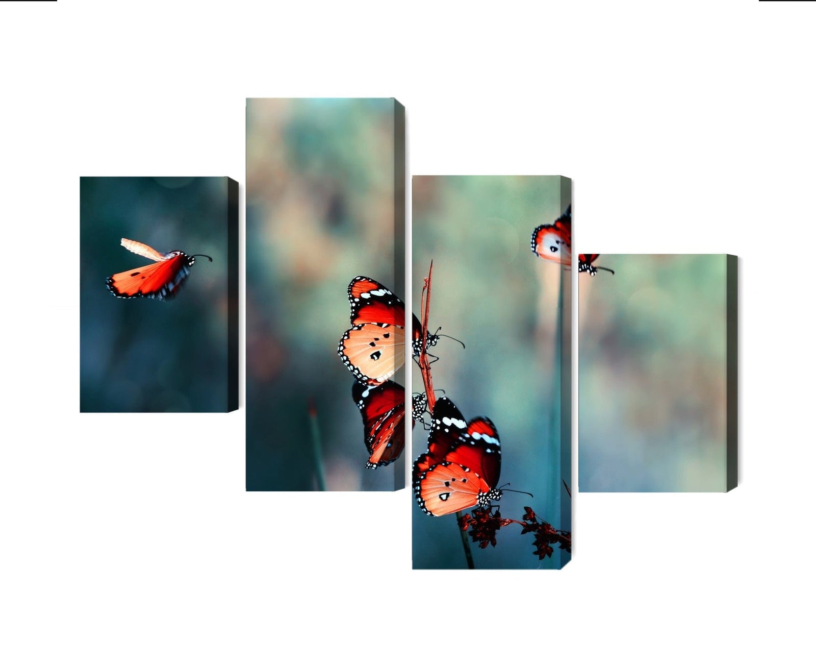 Kanva: Krāsaini tauriņi makro mērogā X-ART