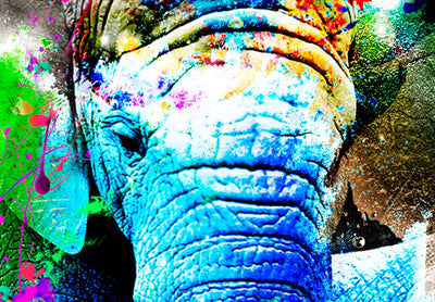 Kanva - Krāsainie ziloņi uz melna fona (x 1), 128410 G-ART.