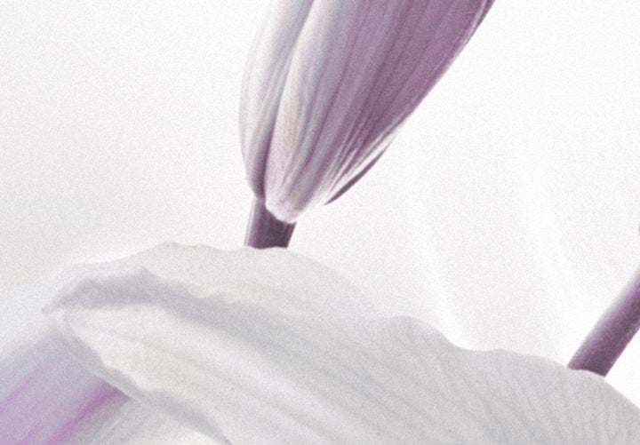 Glezna ar lilijām violetos toņos uz pelēka fona, 93795 G-ART