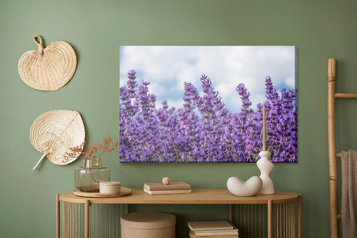 Kanva - Lavanda pret debesīm, N-1464 X-ART