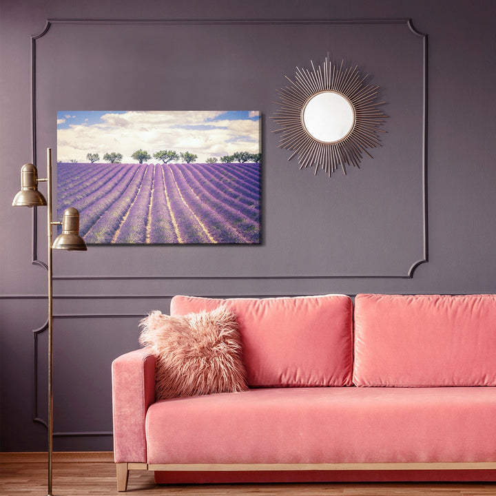 Kanva - Lavandas lauks X-ART