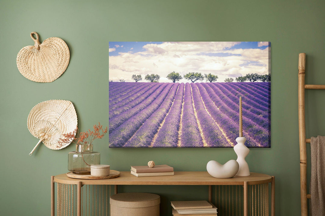 Kanva - Lavandas lauks X-ART