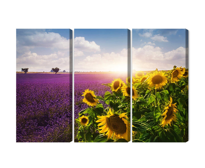 Kanva - Lavandas un saulespuķu lauki 3D, N-4189 X-ART