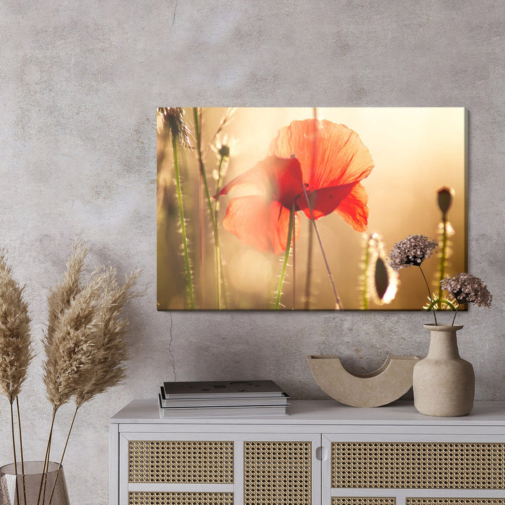 Kanva - Magones saulē V2 X-ART