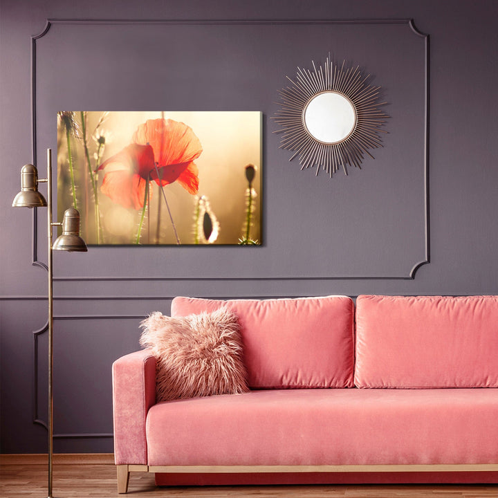 Kanva - Magones saulē V2 X-ART