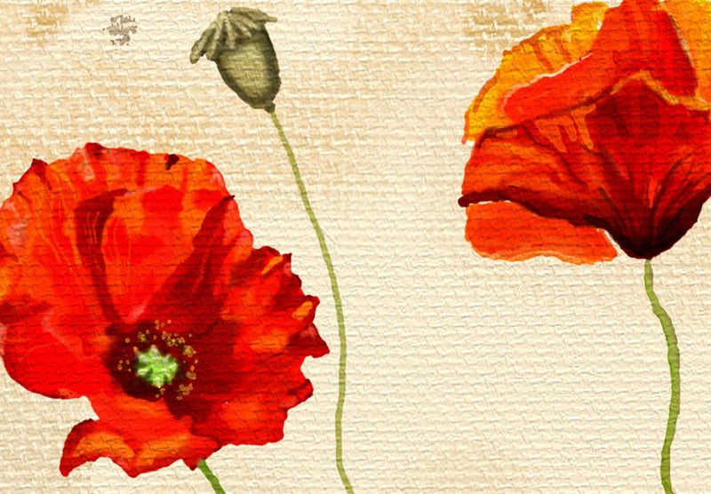 Painting - Magones on beige background - poppy tears, 90480, (X1) Tapetenshop.lv.