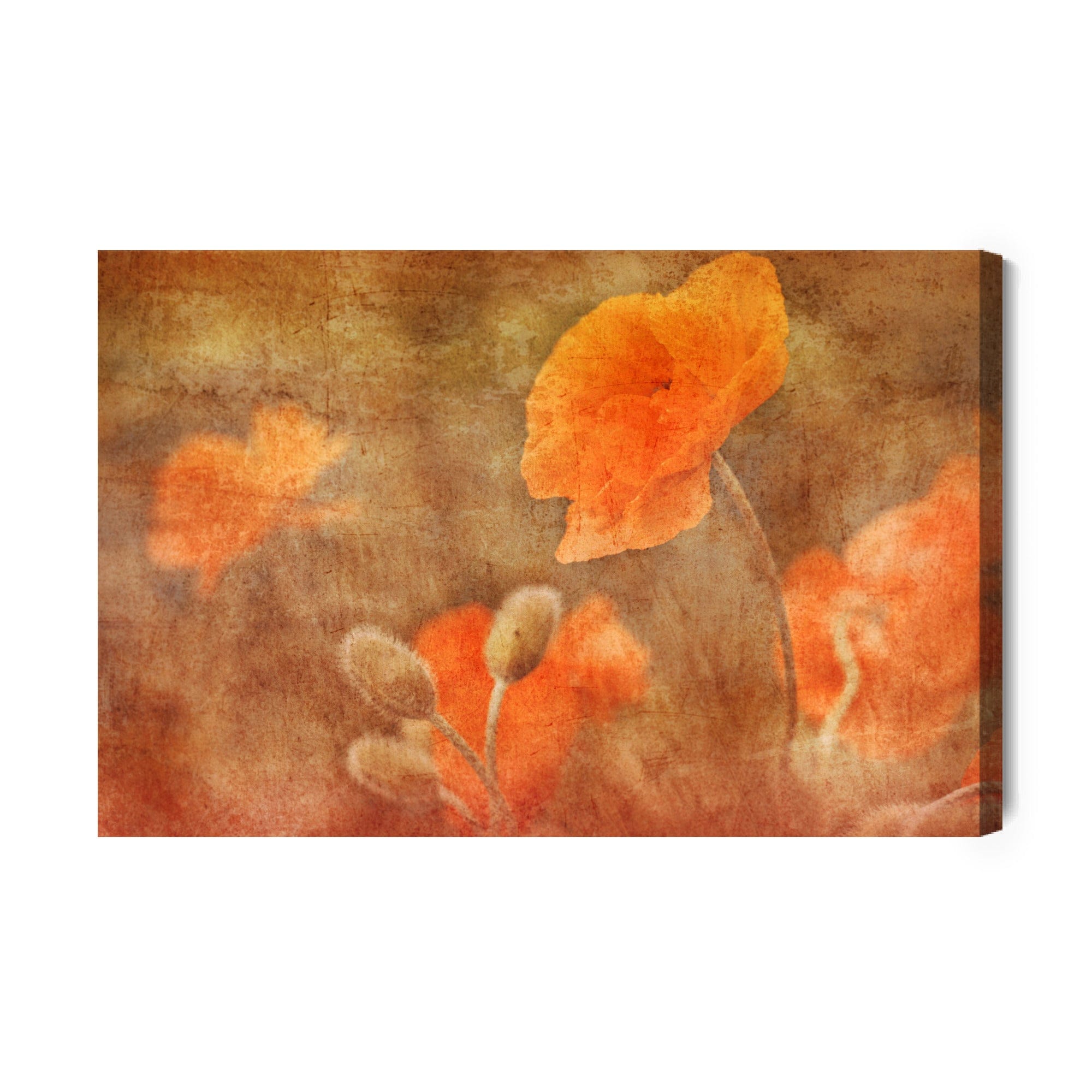 Paintings