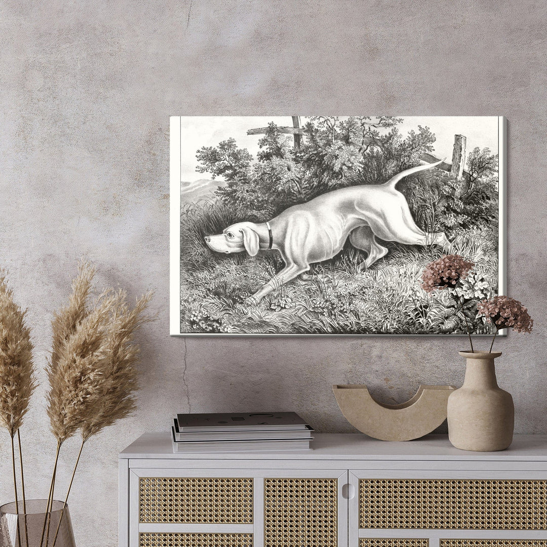 Kanva - Medību suns X-ART