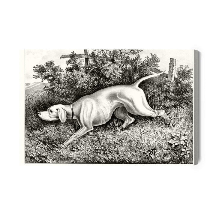 Kanva - Medību suns X-ART