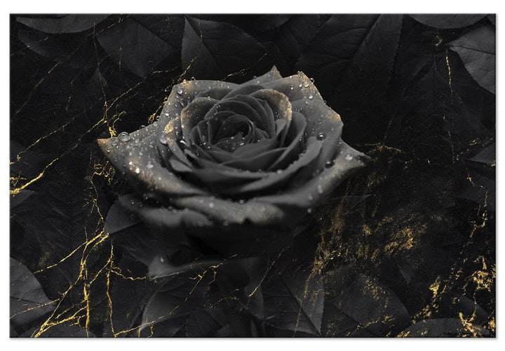 Glezna- Melna roze, 126854 G-ART.