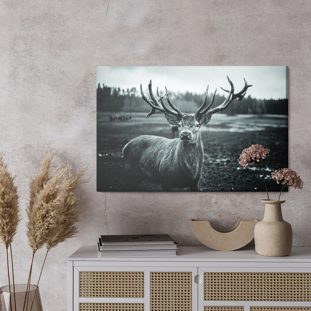 Kanva - Melna un balta brieža, N-981 X-ART