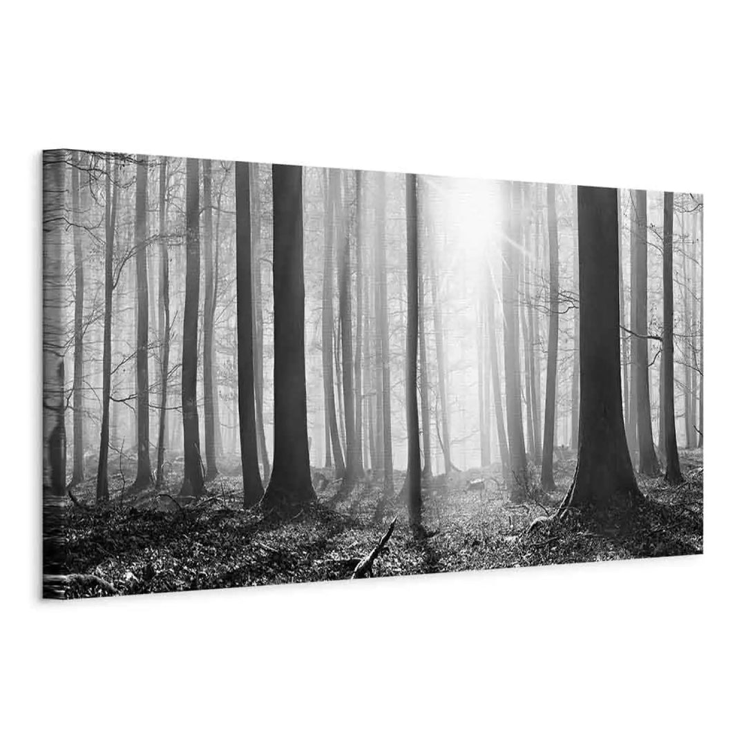 Kanva Melnbalts Mežs (96052) – Elegants Interjera Dekors ART XL