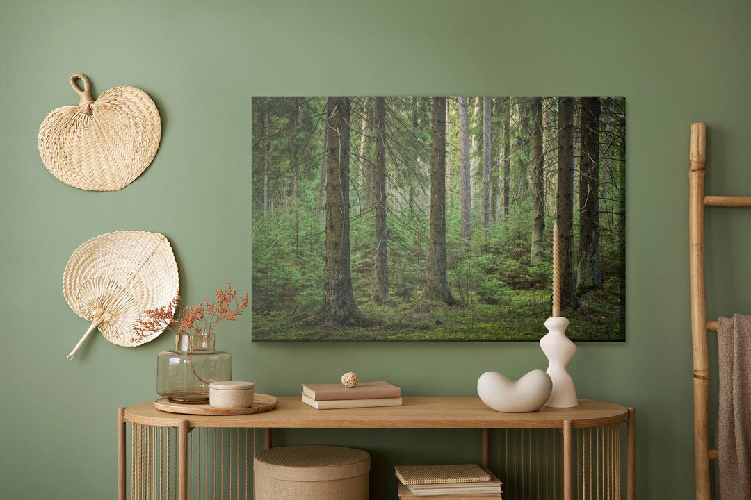 Kanva - Meža 3D skats, N-1179 X-ART