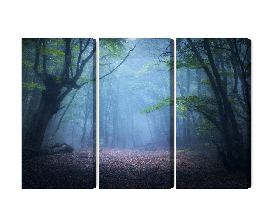3 daļu kanva: Meža ainava miglā, zila X-ART
