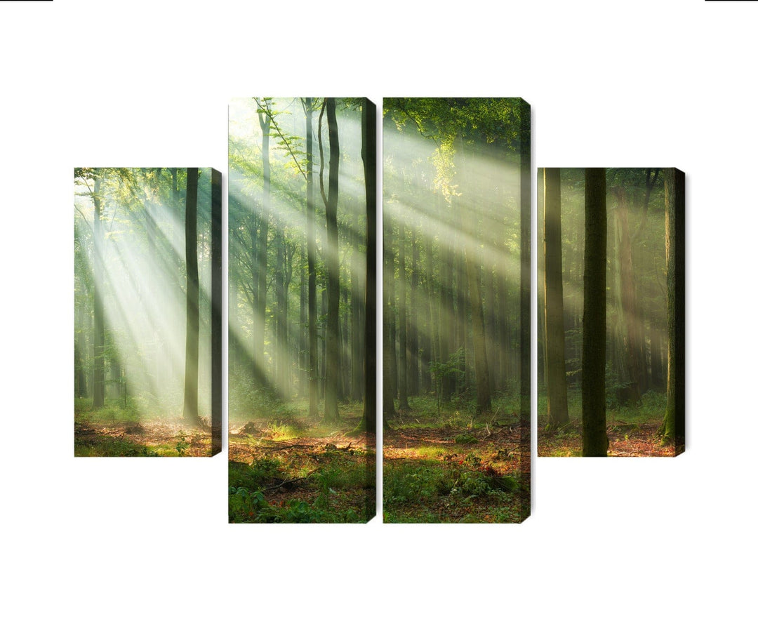 Kanva - Meža ainava no rīta, N-1838 X-ART