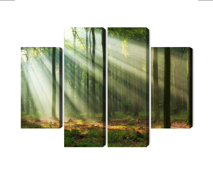 Kanva - Meža ainava no rīta, N-1838 X-ART