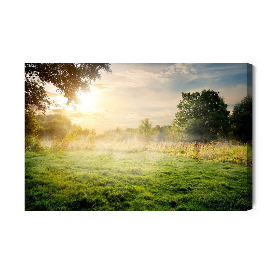 Kanva - Meža izcirtums no rīta, N-1180 X-ART