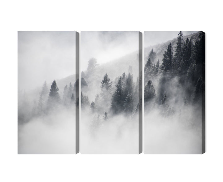 Kanva - Mežs ir apklāts ar miglu, N-1934 X-ART