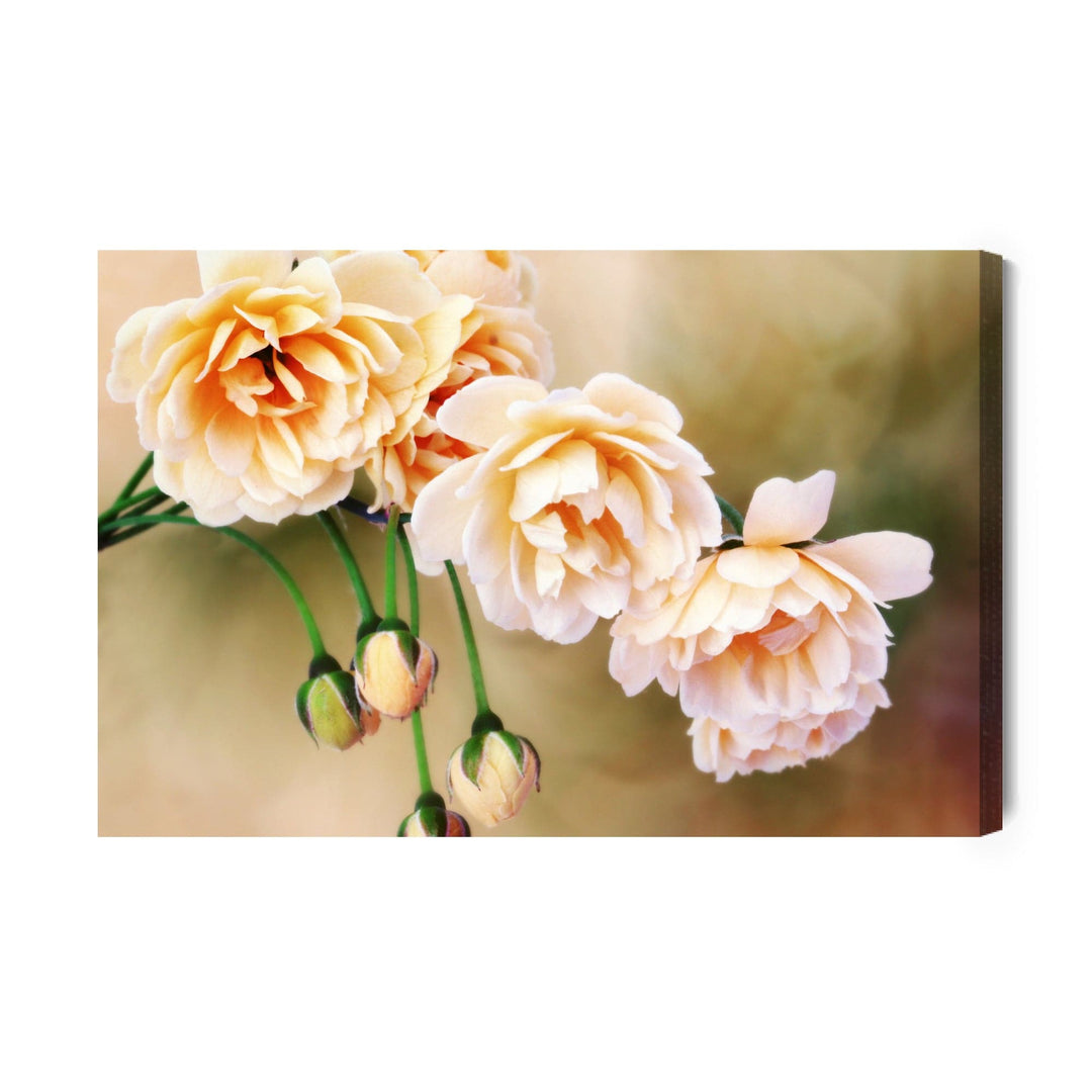 Kanva - Miniatūras rozes, N-1312 X-ART