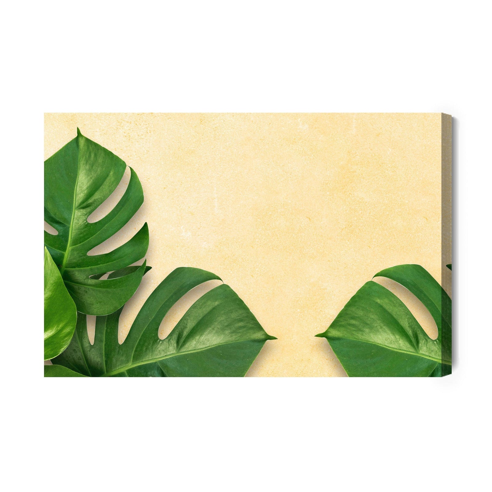 Kanva - Monstera lapas uz smilškrāsas fona, N-1645 X-ART