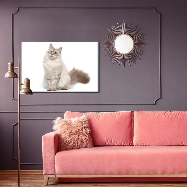 Kanva - Neva Masquarade kaķis, N-1436 X-ART