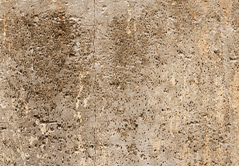 Seinapildid - Palmilehtede visand, pruun kompositsioon troopilise motiiviga, 151439 G-ART