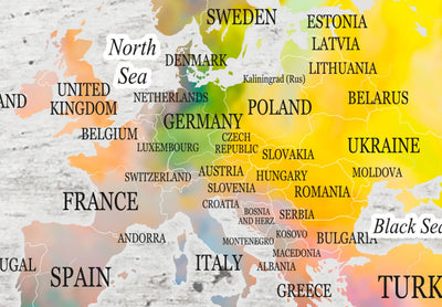 Kanva - Pasaules karte: krāsaini kontinenti uz pelēka fona (x1), 91919 G-ART.