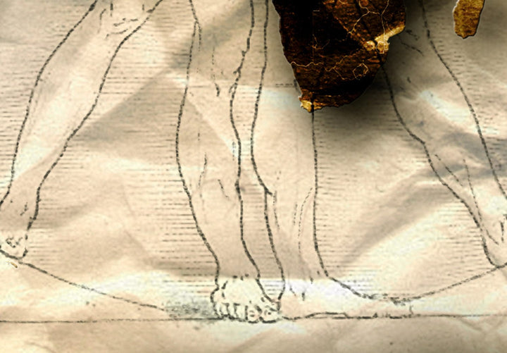 Glezna – Pasaules karte Leonardo da Vinči stilā, (x1), 92621 G-ART.