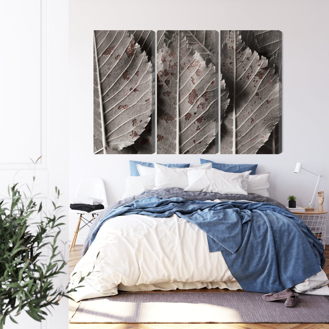 3 daļu kanva: Pelēkas lapas makro, horizontāla X-ART