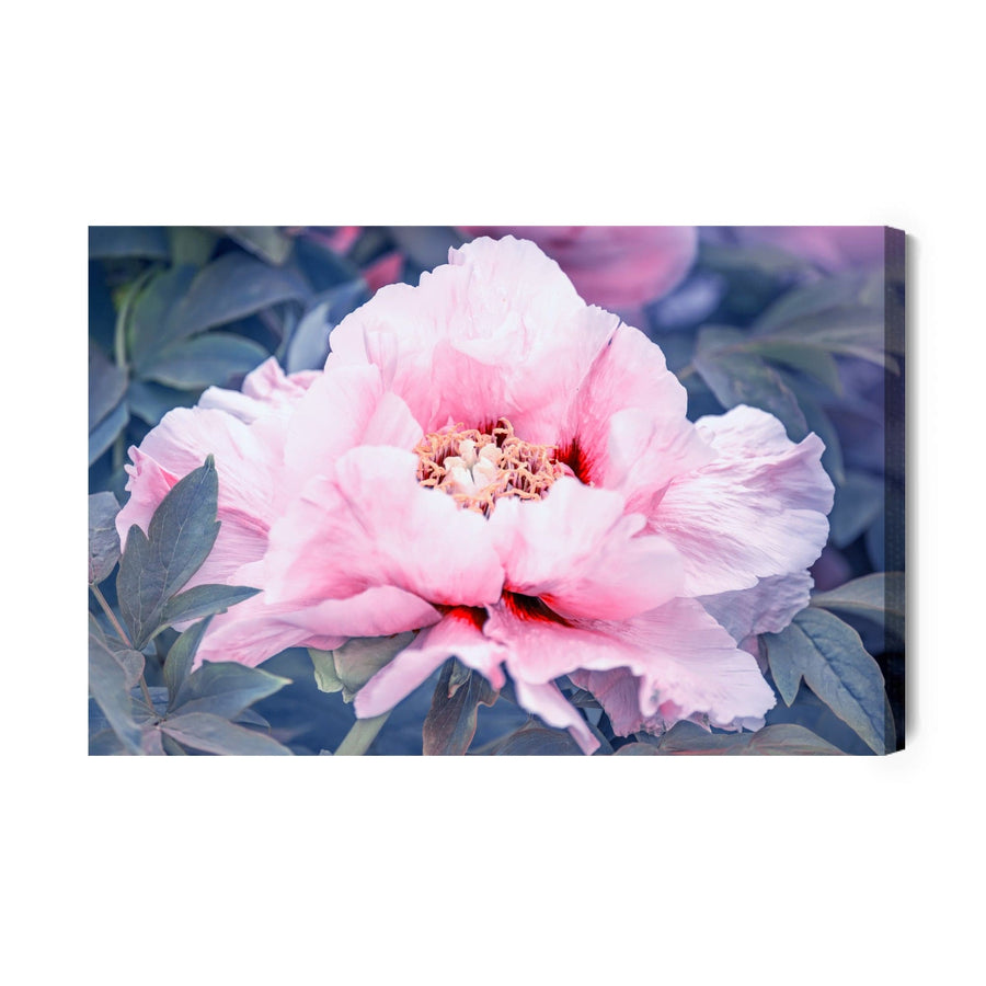 Kanva - Peonija dārzā, N-285 X-ART