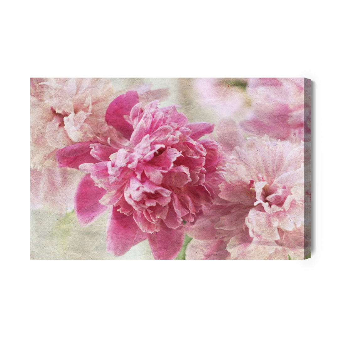 Kanva - Peonijas retro stilā, N-290 X-ART