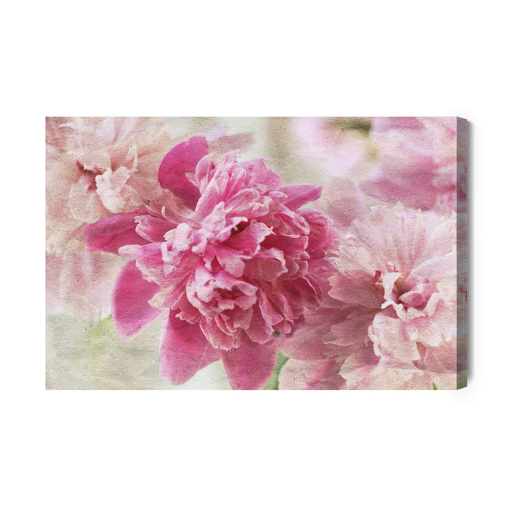 Kanva - Peonijas retro stilā, N-290 X-ART