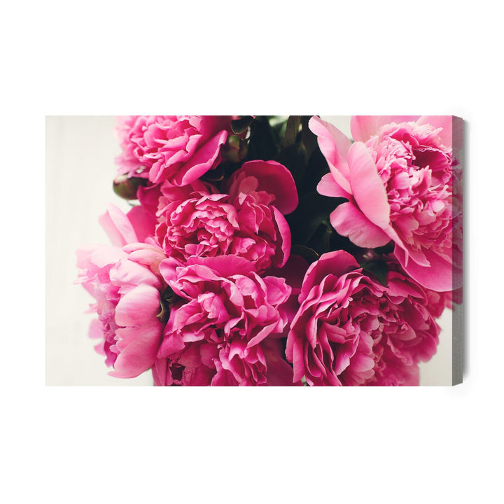 Kanva - Peoniju rožu pušķis, N-277 X-ART