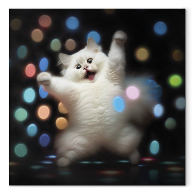 Glezna - Persijas kaķis - dejojošs kaķis disko gaismās, 150198 Tapetenshop.lv