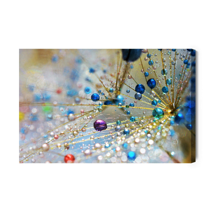 Kanva - Pienene, krāsainas pilieni X-ART