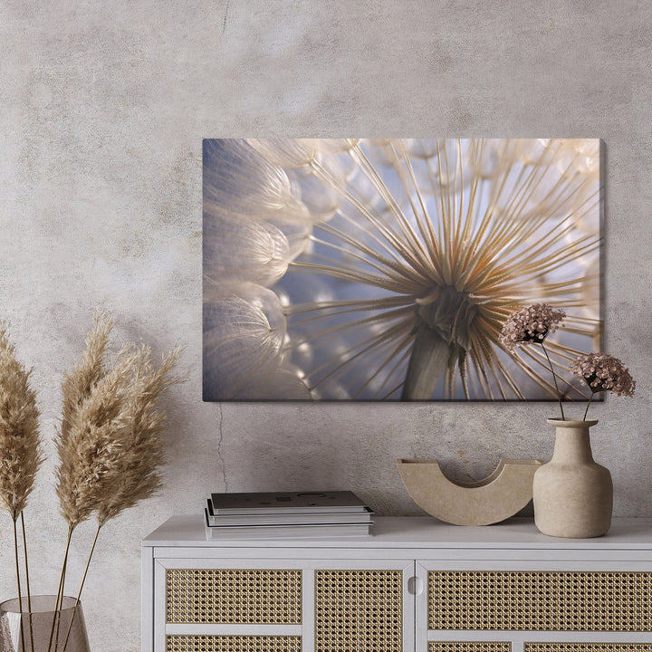 Kanva - Pienene tuvu X-ART