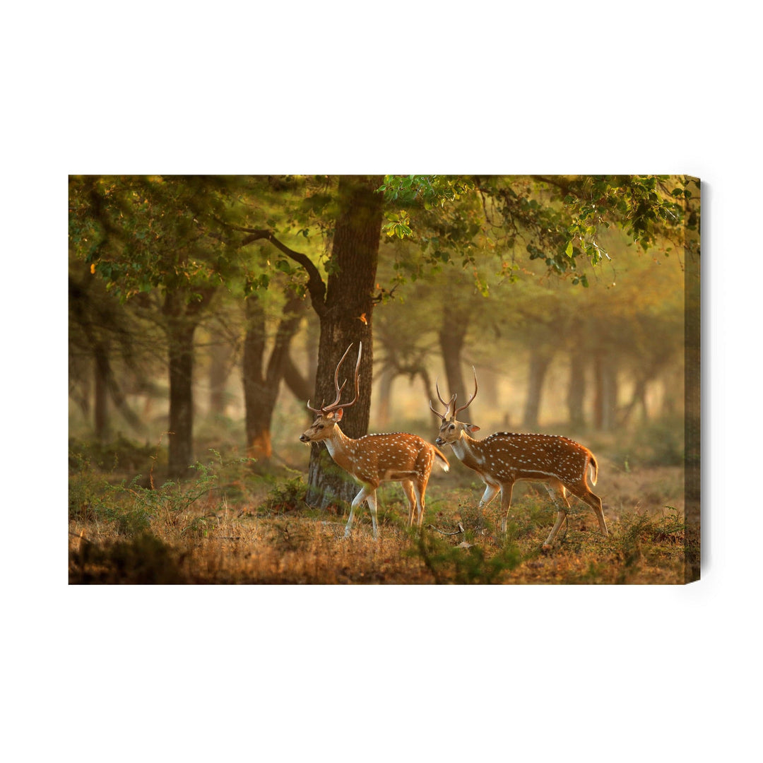 Kanva - Plankumains jauns briedis, N-990 X-ART