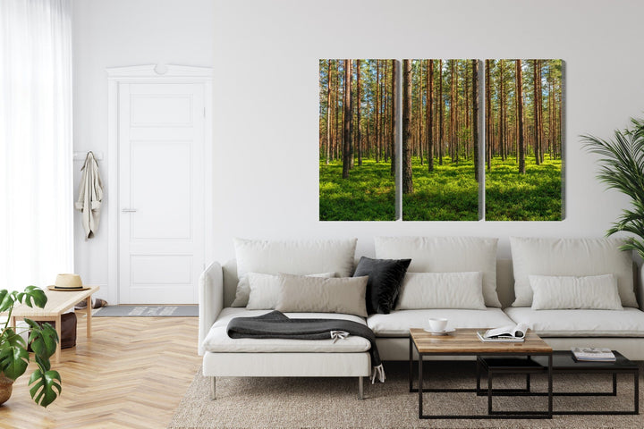 Kanva - Priežu mežs 3D, N-1899 X-ART