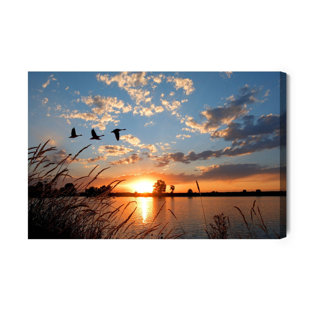 Kanva - Putni saulrietā, N-842 X-ART