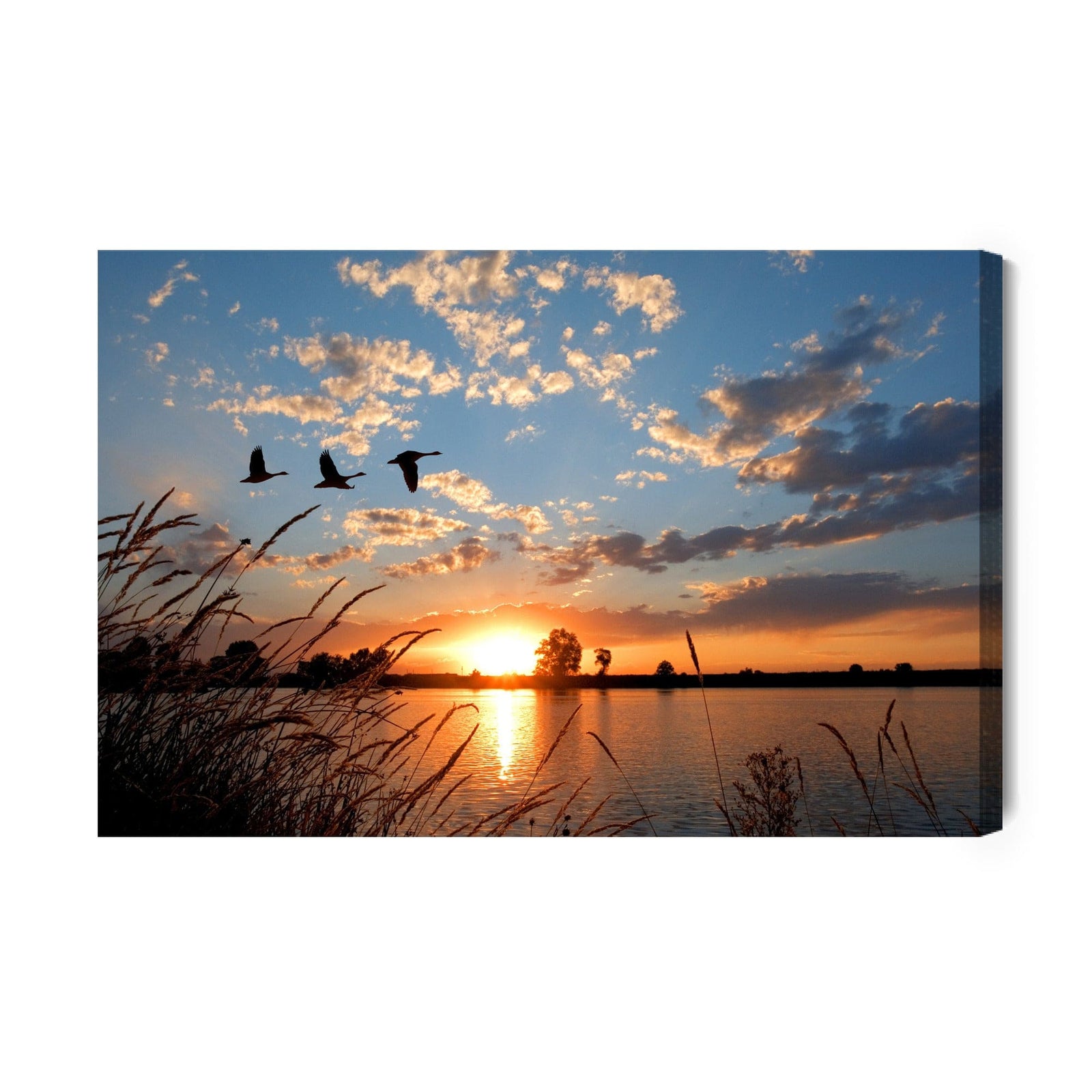 Kanva - Putni saulrietā, N-842 X-ART