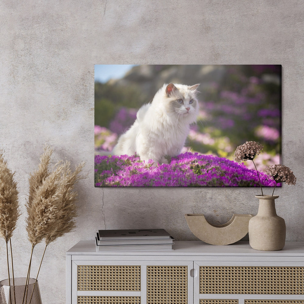 Kanva - Ragdoll kaķis ziedu vidū, N-1438 X-ART